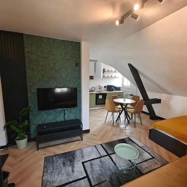 Apartament Leon, hotel in Kudowa-Zdrój