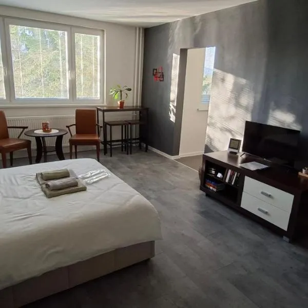 Stylish 1-bedroom apartment for 3 with balcony, free parking & river views in a quiet area, hotell i Prievidza
