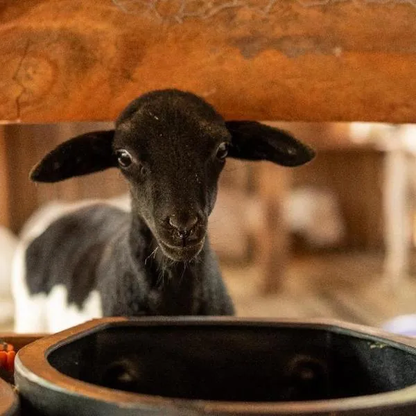 Pousada Rancho Texas Ubatuba, hotel a Ubatuba
