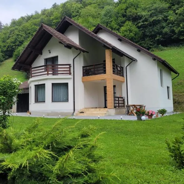 Cabana Valea Muntelui, hotell i Poiana Mărului