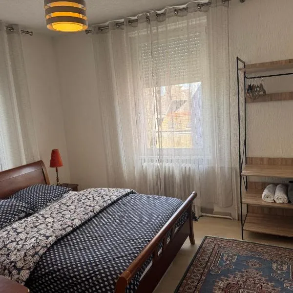 Appartement 3 chambres avec salon et terrasse, hotel en Wittenheim