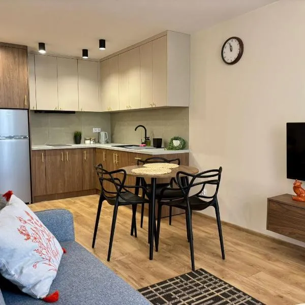 Duży Apartament w Centrum Radomia – hotel w Radomiu