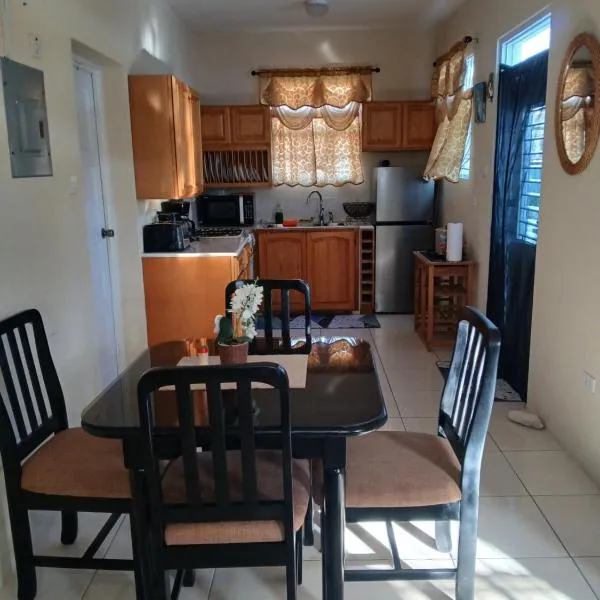 One Bedroom Apartment 1 minute walk to West Coast Beach!, Hotel in Saint James