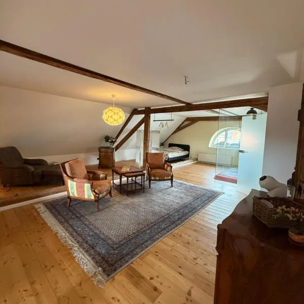 Dachstudio in tierfreundlicher Hofreite mit Poolnutzung, hotel a Stadecken-Elsheim