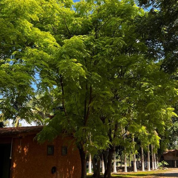 pousada recanto gerais - Foto 2