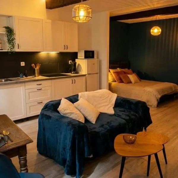 Appartement Ubac - Chic & Douillet، فندق في سان-غودين