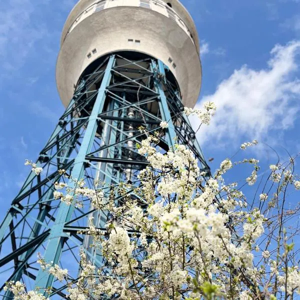 Studio Watertoren, hotell sihtkohas Goes