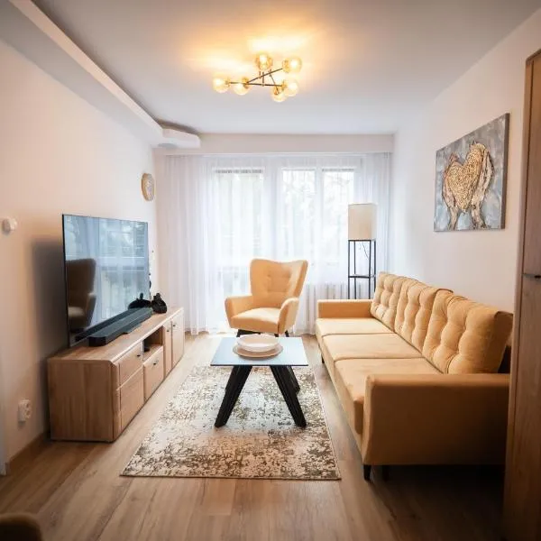ApartCieszyn - Apartament Liburnia، فندق في تشيشين