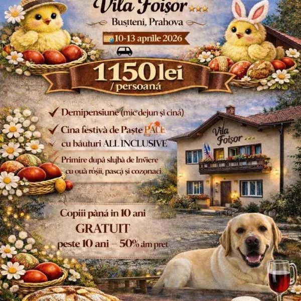 Villa Foisor, hotel i Buşteni