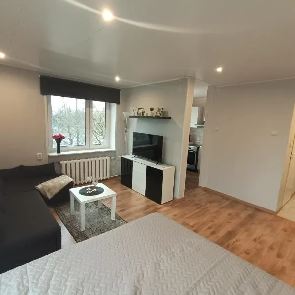 Central Haapsalu Apartment, hotel en Haapsalu