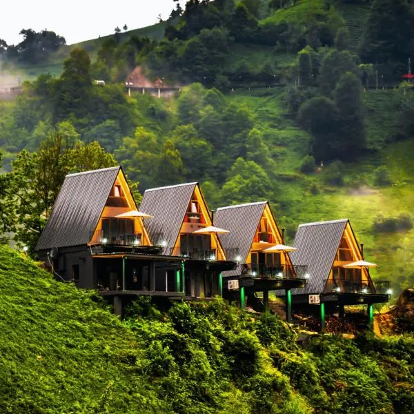 Danzi camping tiny house, Hotel in Rize