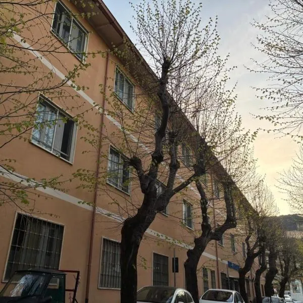 Hotel Annunziata, hotel em Massa