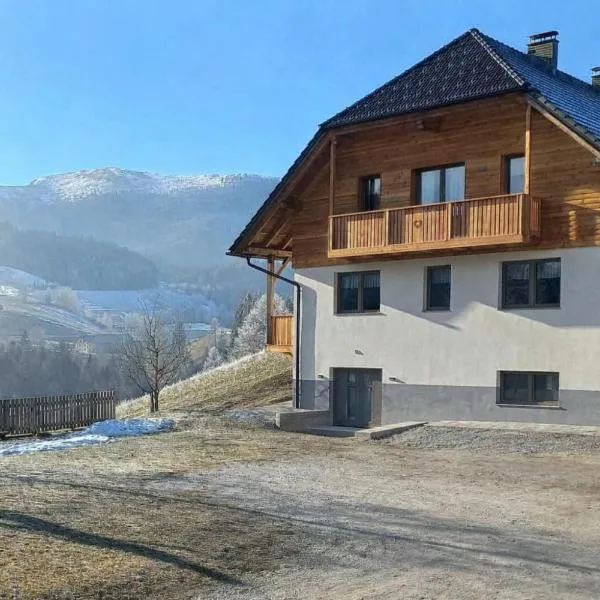 Apartmaji Peternelj、ゴレンスカ地方のホテル