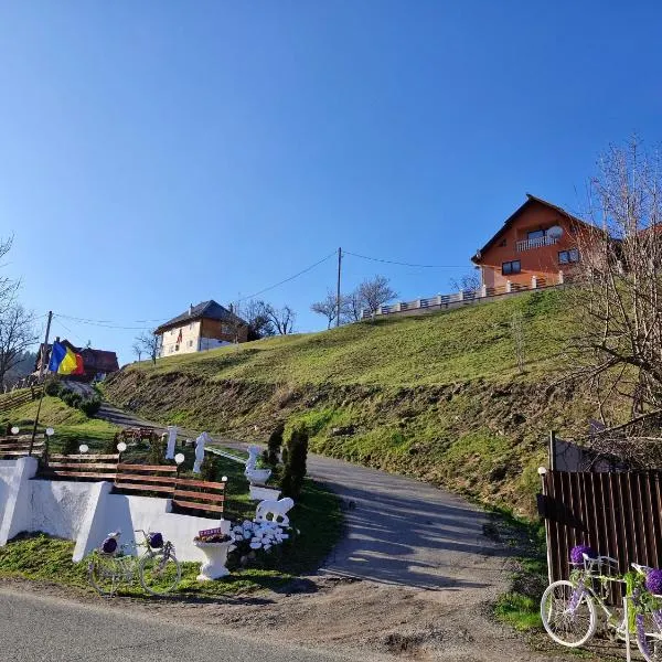 Pensiunea Cabana Viselor ,Apuseni, hotel di Vadu Moţilor