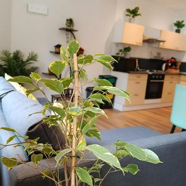 Appartement 2, viešbutis mieste Aubigny-sur-Nere