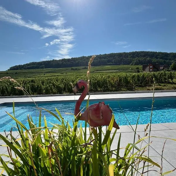 Domaine Wagenbourg Bickel proche de Colmar, hotel em Soultzmatt