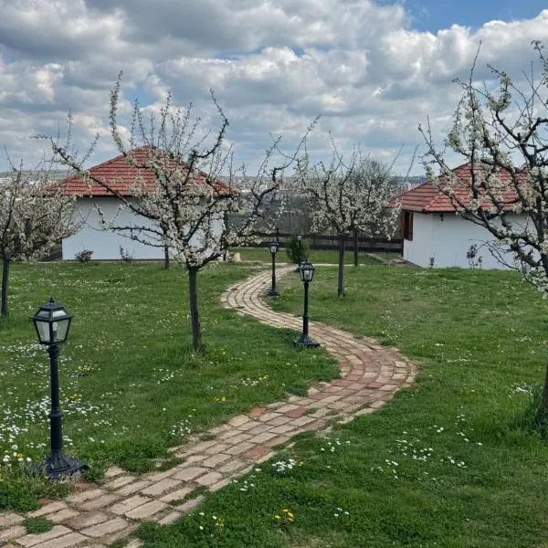 Apartmani Mladenovac: Mladenovac şehrinde bir otel