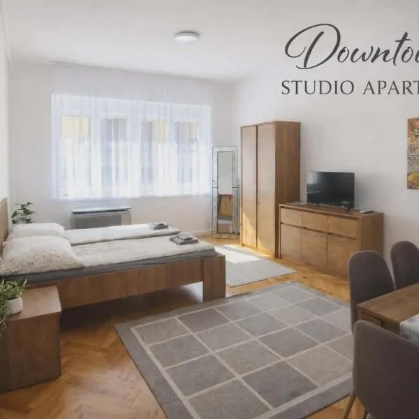 Downtown Studio Apartman, hotel in Pécs