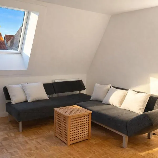 SCHEE Panorama Apartment - ideal für Gruppen und Familien โรงแรมในเนิร์ดลิงเงน