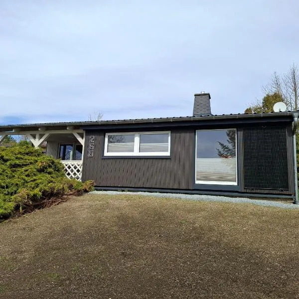 Ferienhaus 265 am Zeulenrodaer Meer, hotel din Zadelsdorf