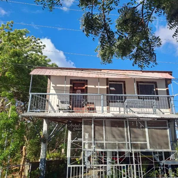 Beach cabin ometepe, Hotel in Altagracia