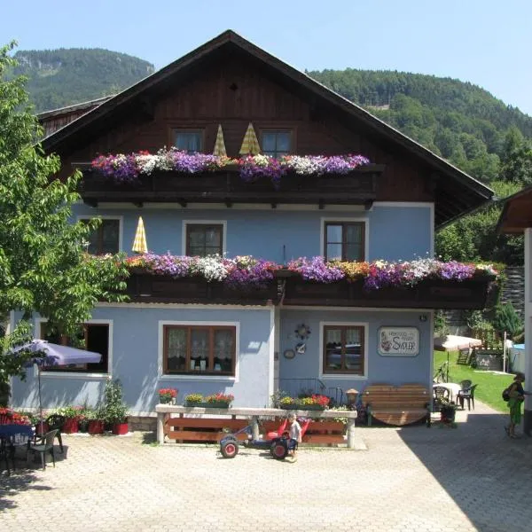 Pension Sydler, hotel in Bad Goisern