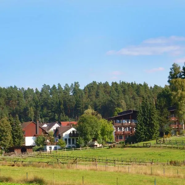Waldhotel Bächlein, hotel v destinaci Mitwitz