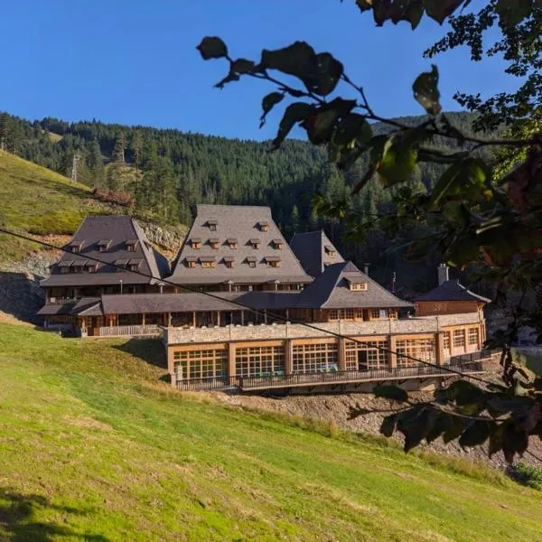 Smeštaj Iver, hotel v destinaci Mokra Gora