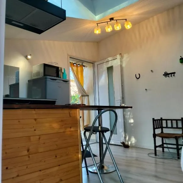 studio dans les arbres, hotel in Saint-Paulet-de-Caisson