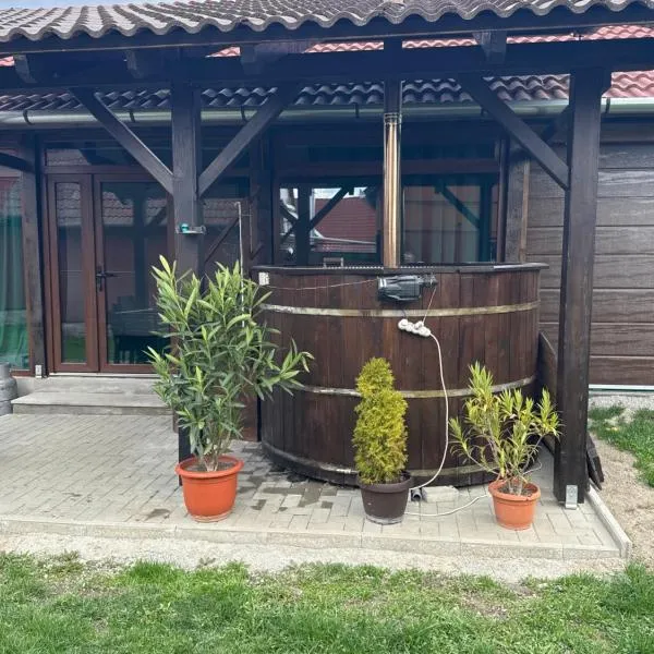 Casa Lemnarului, hotell i Micfalău