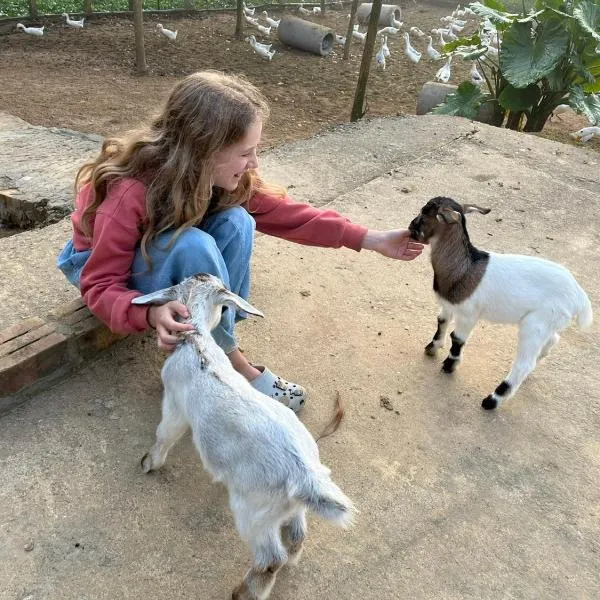 Phong Nha Mini Farm - Nguyen Shack, hotel in Phong Nha
