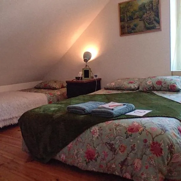 CHEZ ISA chambre chez l'habitant Emma, hotel in Montlouis-sur-Loire