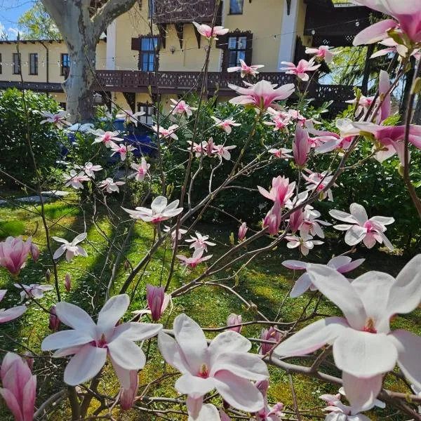 Viesnīca Villa Musik - historical apartments, Baden Bādenē