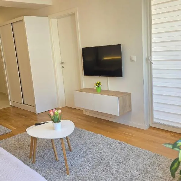 Viesnīca Zebra Premium Apartment with private Free Parking pilsētā Vodno