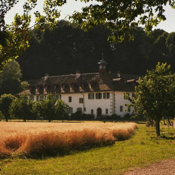Hotel St Petersinsel, hôtel à Sankt Petersinsel