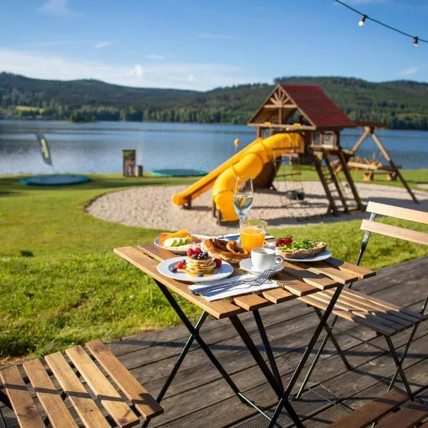 Amenity Hotel & Resort Lipno، فندق في ليبنو ناد فلتافو