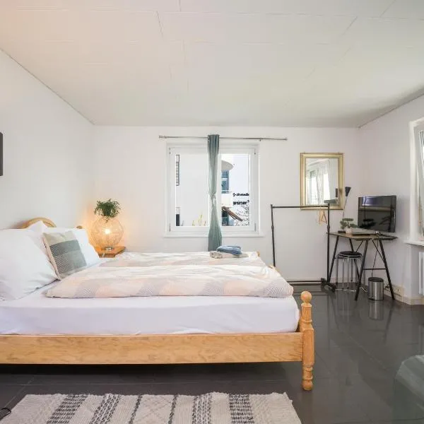 Zurich Rooms near Oerlikon and Airport, hotel u Cirihu