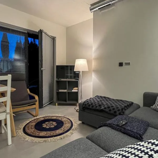 THE ONE Comfy apartment after a long day of work, hotel a Kaunas