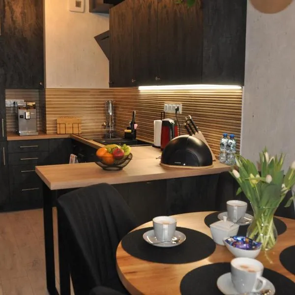Apartament SANOVA 55 – hotel w mieście Sanok
