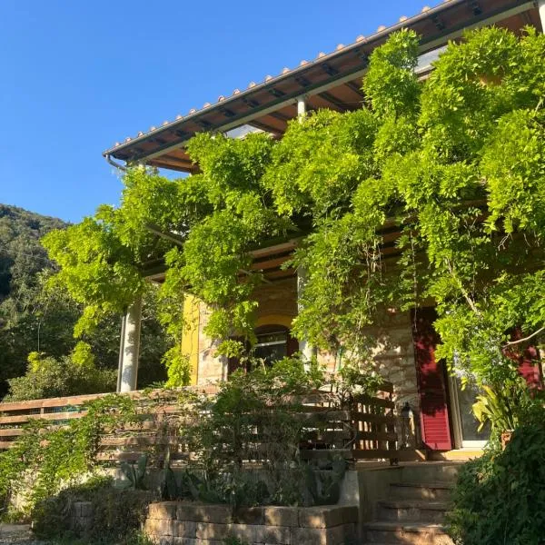 B&B La Fucinaia Pet Friendly, Hotel in Campiglia Marittima