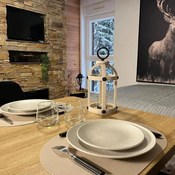 Studio Chalet des Pistes, Hotel in Gérardmer
