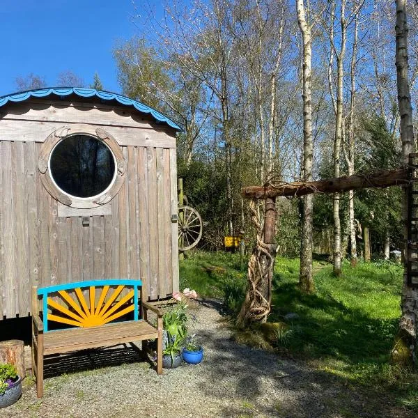 Sapphire forest garden shepherd’s hut، فندق في تشيرش ستريتون