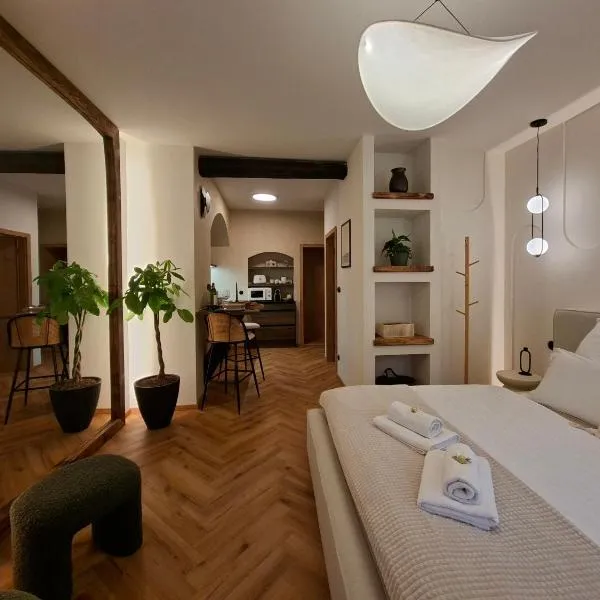 Old Town Living Studio, hotel in Český Krumlov