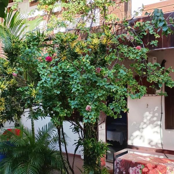 Pousada Laia - Foto 2
