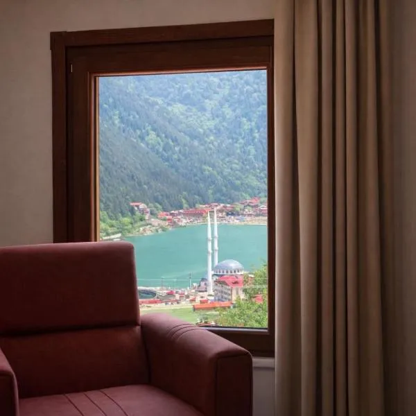 İmera Suite Otel, Hotel in Uzungöl