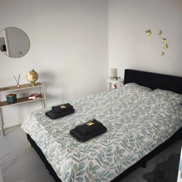 Apartment l'Anil Garden and Garage، فندق في دينانت