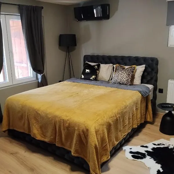 Zen Lux, hotel din Zaicear
