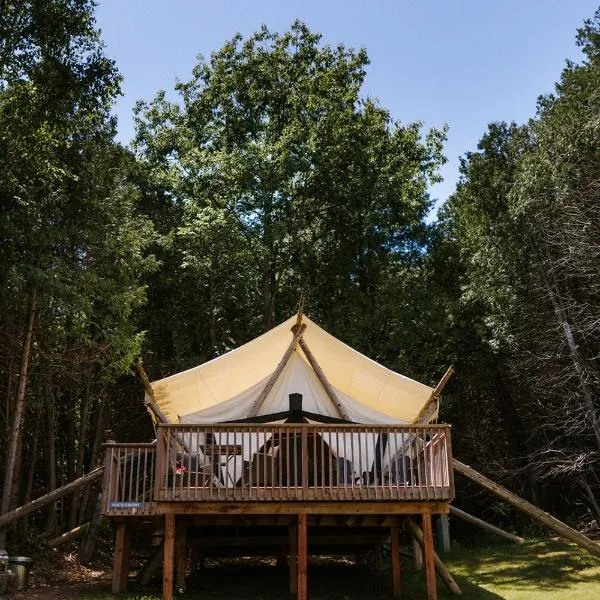 Whispering Springs Wilderness Retreat, hotel in Grafton
