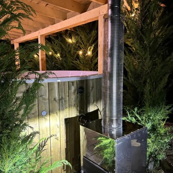 Virajlux, hótel í Dîmbovicioara