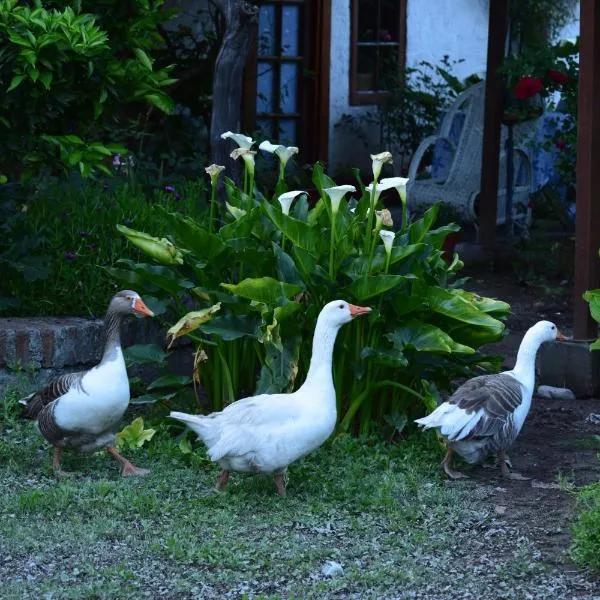 Alojamiento Rural Casa Quinta Peumayen, hotel en Isla de Maipo